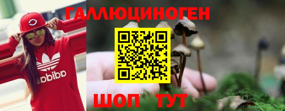 Серов  Галлюциногенные грибы мицелий  Вход с VPN  Галлюциногенные грибы MAGIC MUSHROOMS 
